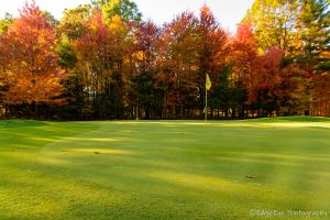 Colorful trees on golf course 