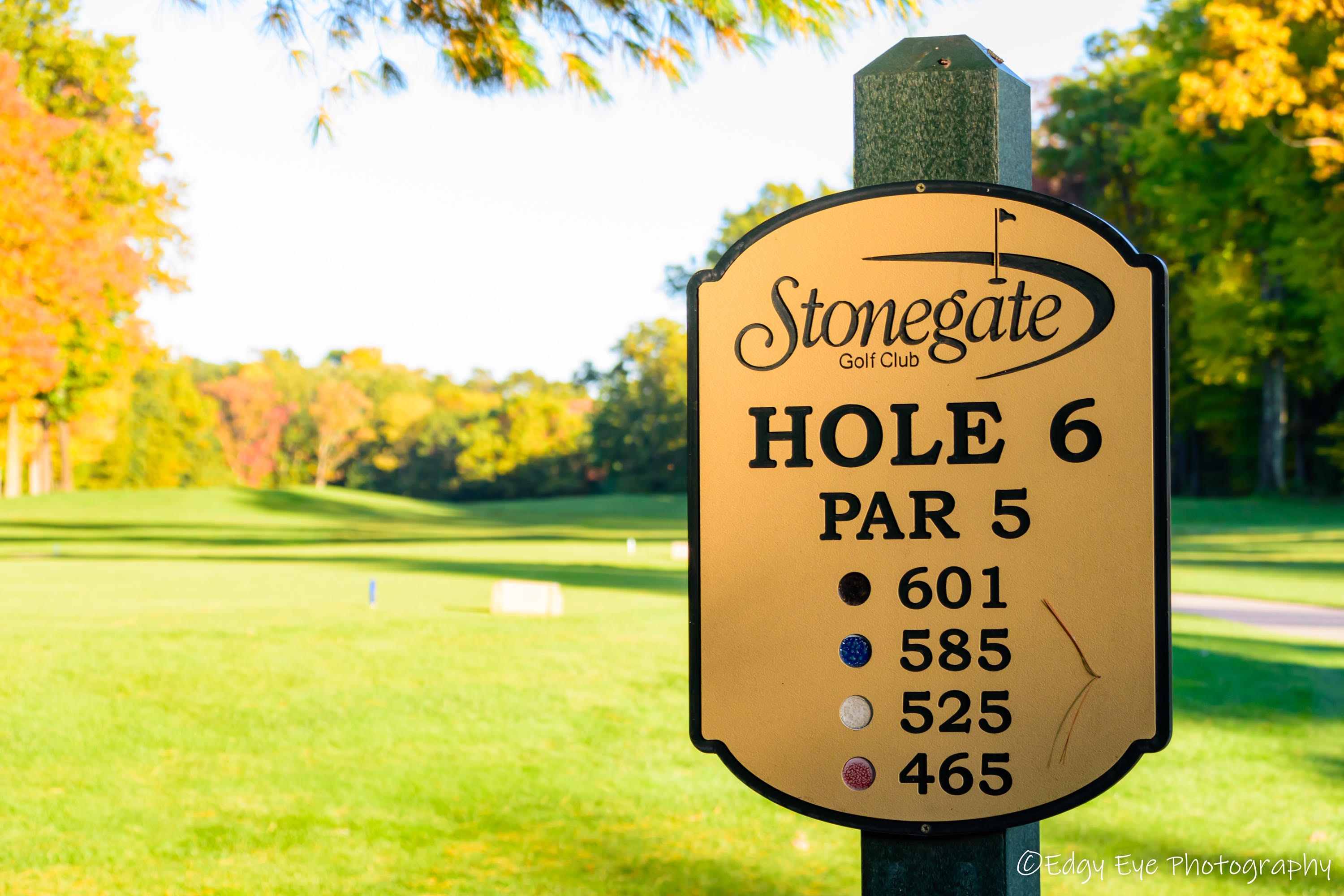 Image of golf ball on tee on grass.